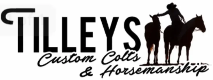 Tilley's Custom Colts logo